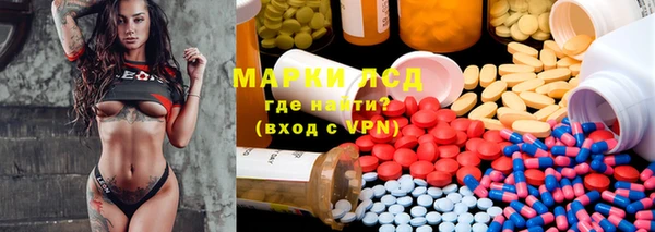 дурь Болотное