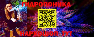 дурь Сланцы