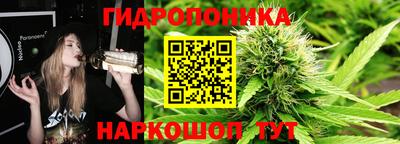 дурь Сланцы