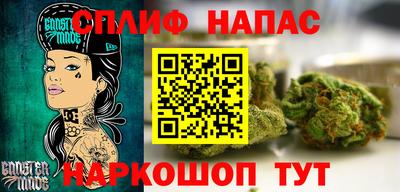 дурь Сланцы