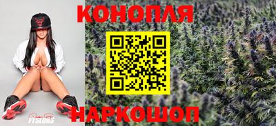 дурь Сланцы