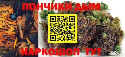 дурь Сланцы