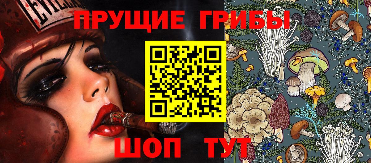Приморско-Ахтарск  Галлюциногенные грибы Psilocybine cubensis  Вход с VPN 