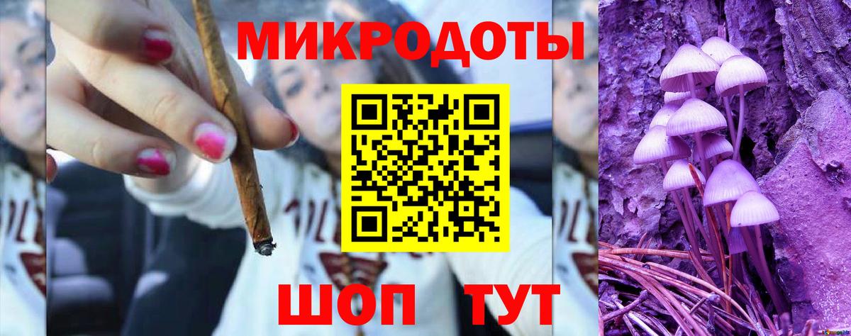 Псилоцибиновые грибы Cubensis Приморско-Ахтарск