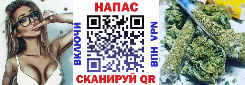 Бошки марихуана план Приморско-Ахтарск